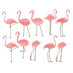 flamingos-stickers
